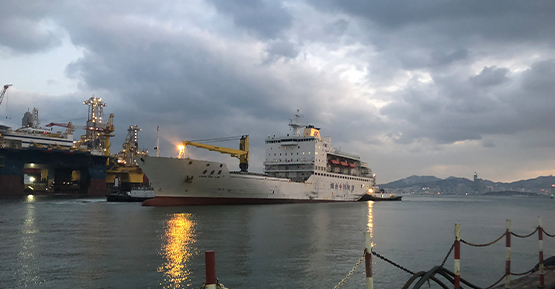 香雪蘭號船舶修理項目